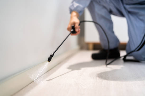 Licensed Ant Control service in Blue Grass, IA - Show Me Pest Control